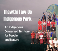 Image of Thawthi Taw-Oo Indigenous Park: an indigenous conserved territory for people and nature